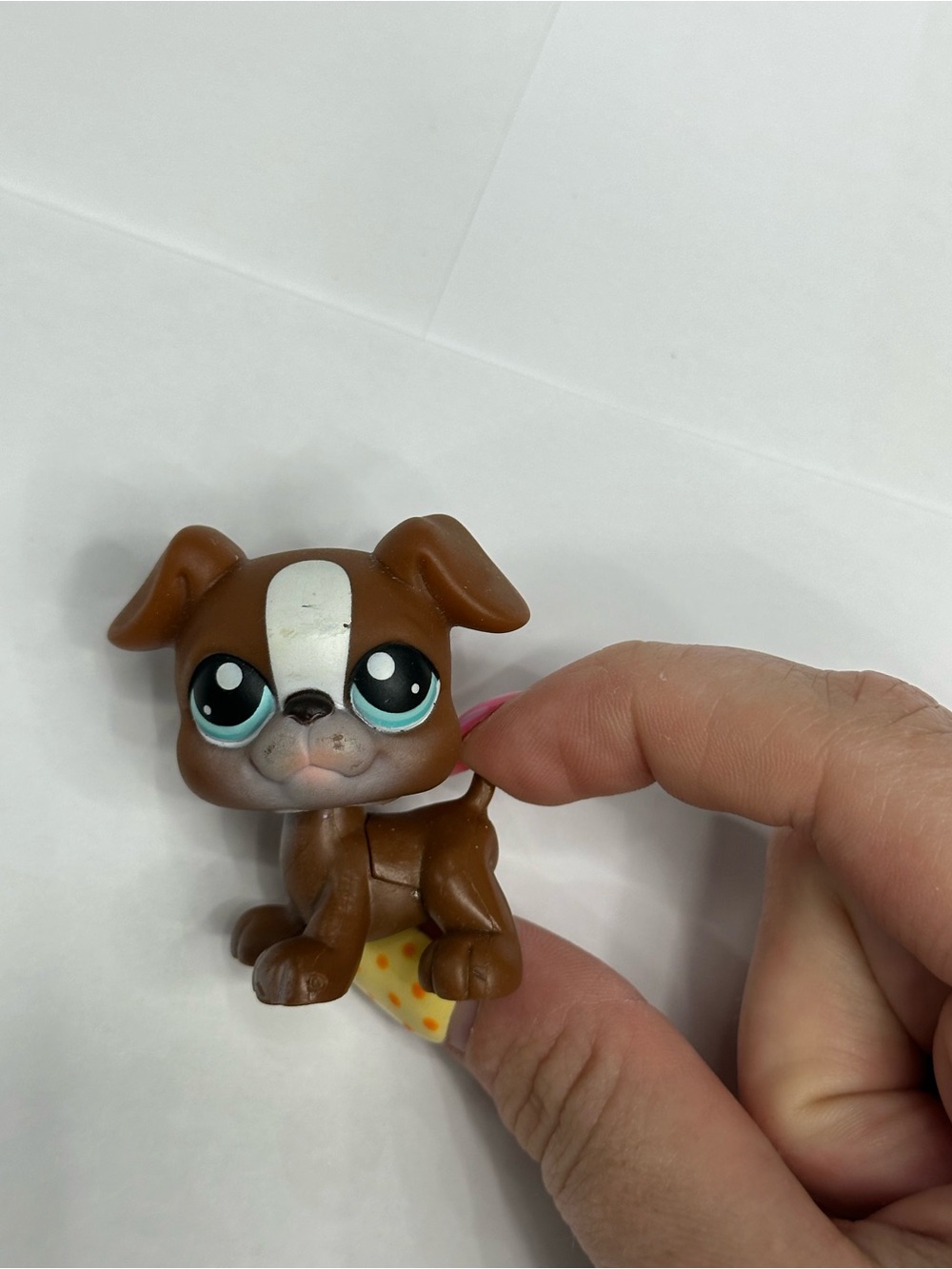 Littlest Pet Shop #83 Boxer